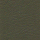 P1013-tm.zelena
