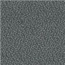 S4203 (Camira YS 081)