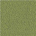 S4205 (Camira YS 077)