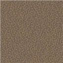 S4206 (Camira YS 091)