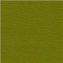 Vellum_Grass407